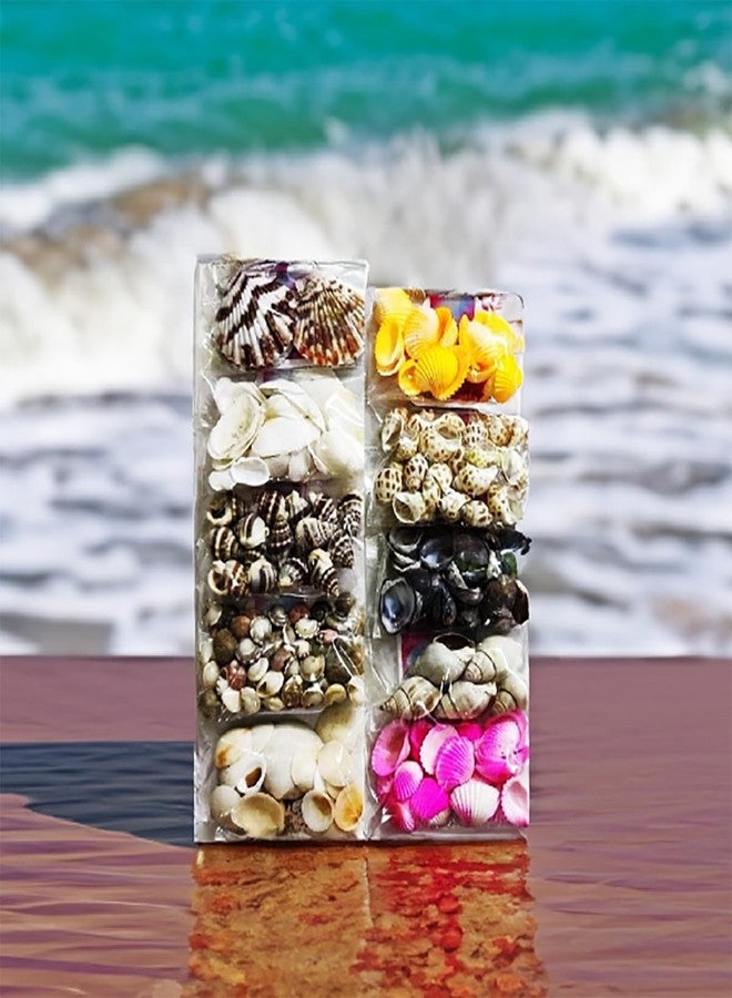 ARTBOX 10 Packets DIY Art and Craft Hobby Koudi Decoration Items for Kids and Adults School, Home, Birthday Gifts and Return Gift Ideas ( 10 Assorted Packets ) Koudi Shells Beeds, Multicolor - Image 2